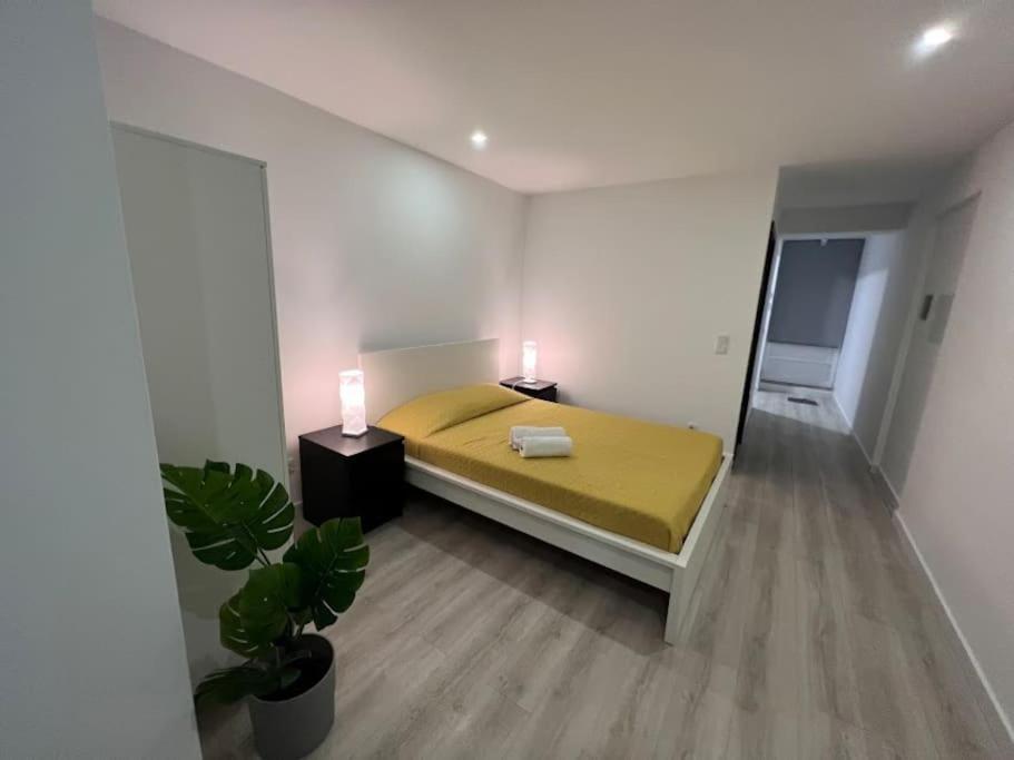 Opo - Fantastic Studio With Garden Porto Oda fotoğraf